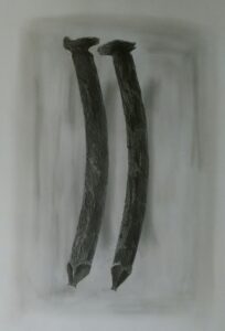 „Socio 006“, 2018 m.
